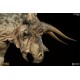 Dinosauria Triceratops Statue 28 cm